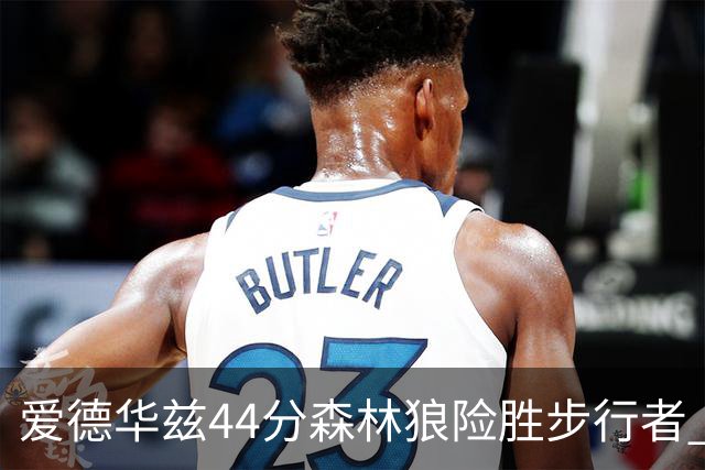 爱德华兹44分森林狼险胜步行者 活塞力克篮网